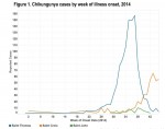 Reported cases of CHIKV vs time
